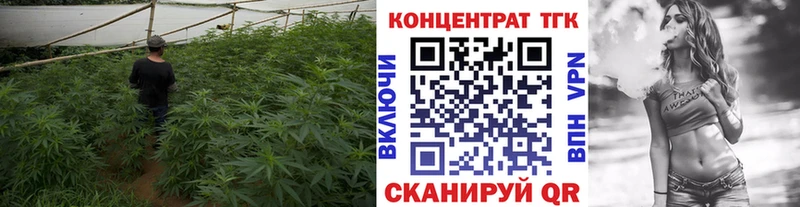 ТГК THC oil  мориарти официальный сайт  Зерноград 