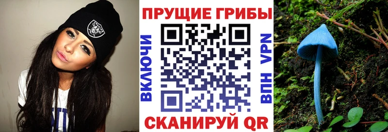 Псилоцибиновые грибы Magic Shrooms  ссылка на мегу вход  Зерноград 