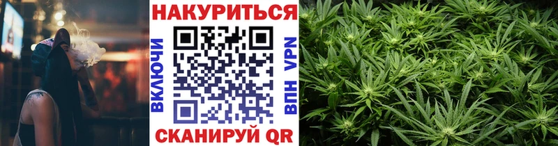 мега онион  Зерноград  Бошки марихуана Ganja  купить  цена 